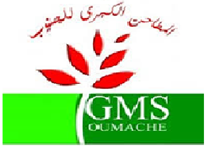 GMSud